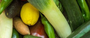 fruits and vegetables