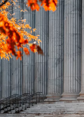 historic november for law firm | Tycko & Zavareei LLP