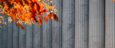 historic november for law firm | Tycko & Zavareei LLP