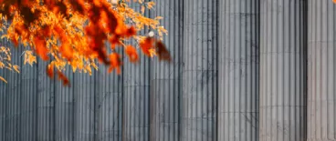 historic november for law firm | Tycko & Zavareei LLP