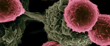 consumer advocates | J&J talc cancer lawsuits | Tycko & Zavareei LLP