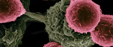 consumer advocates | J&J talc cancer lawsuits | Tycko & Zavareei LLP