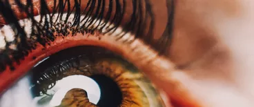 picture of green human eye and eyelash with mascara