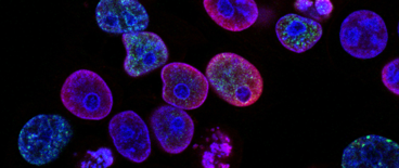 qui tam healthcare fraud appellate attorneys | Tycko & Zavareei LLP