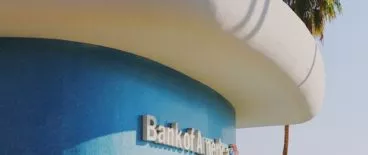 bank of america building with palm tree in background