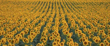 appellate digest august 2023