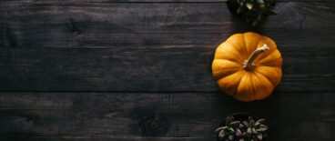 tz september appellate digest